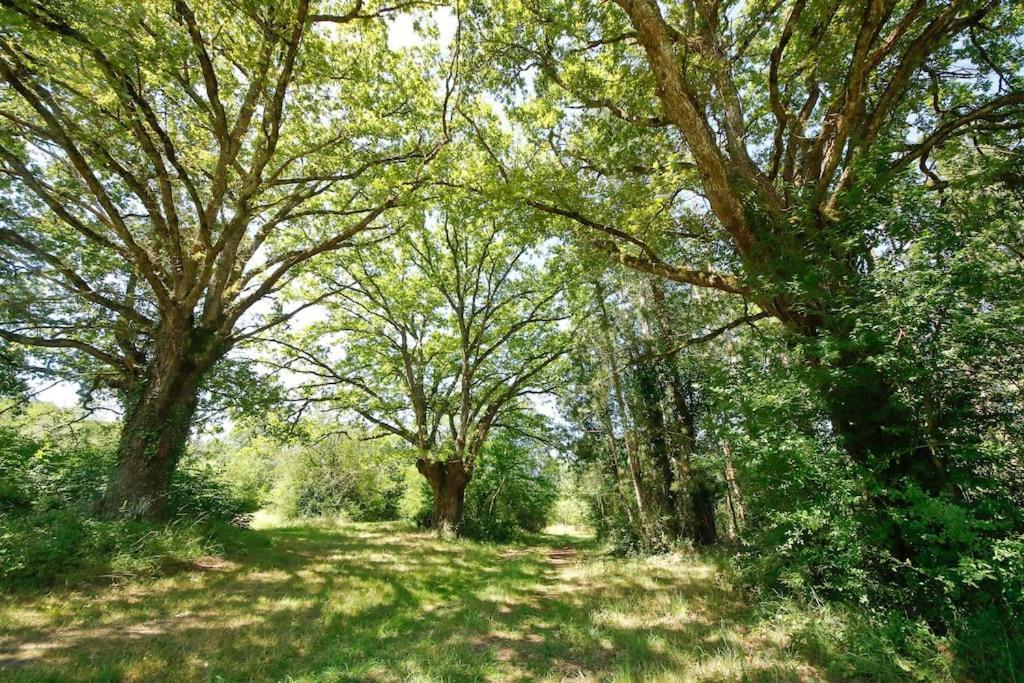 Domaine La Faix, Gite La Forestiere Saint-Plaisir Buitenkant foto